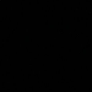 Meet your Posher, Kyara